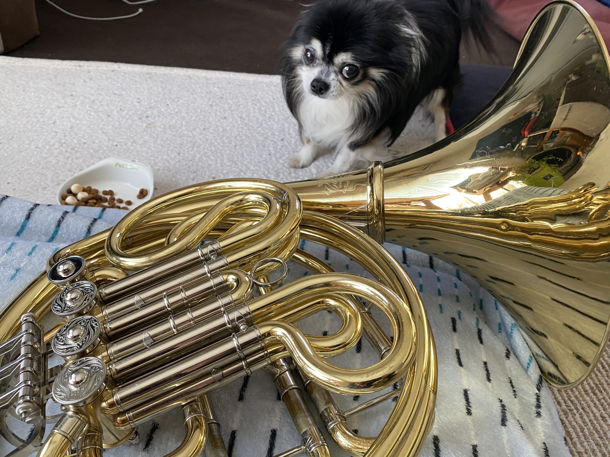 愛用のホルンと…