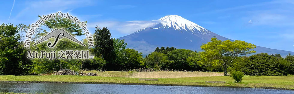 最新入荷】 シリーズ 夏 JP-MTFUJI agapeeurope.org